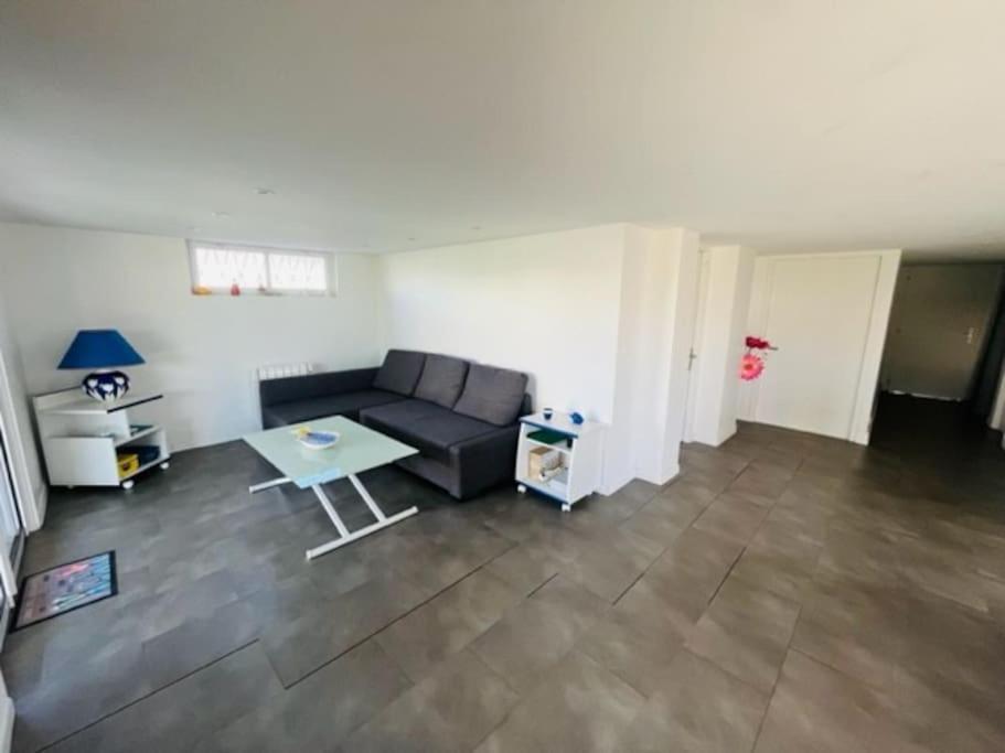 Entre Vienne Et Lyon Appartement En Rez-De-Jardin Saint-Symphorien-dʼOzon 外观 照片